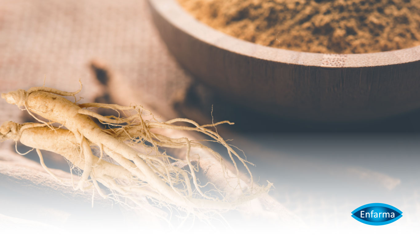 Ginseng enfarma